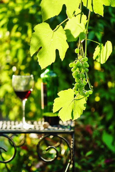 Вино в келиху з виноградом — стокове фото