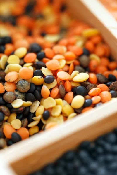 Colorful dried lentils — Stock Image Colorful dried lentils Stock Photo