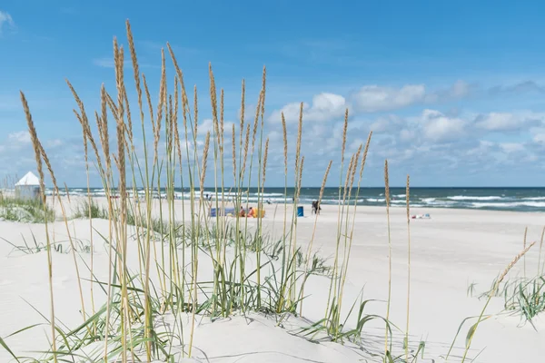 Beach of Baltic Sea — Stock Photo, Image