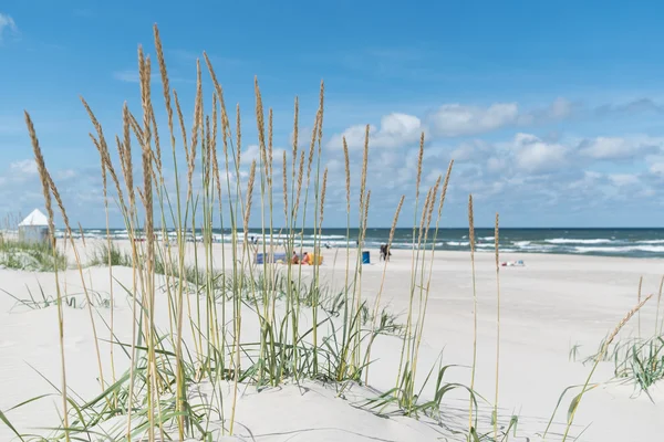 Plaża morze Bałtyckie — Zdjęcie stockowe