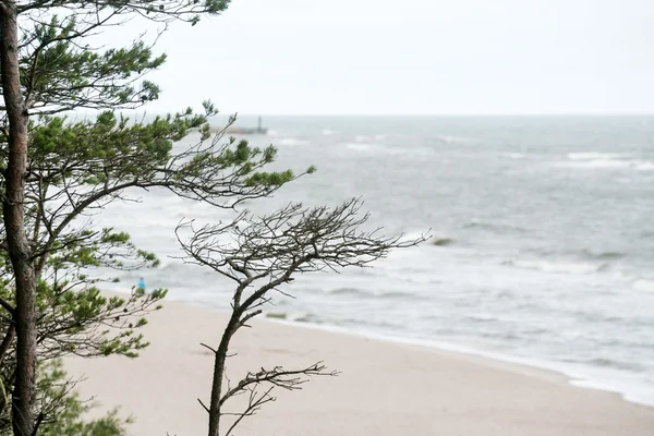 Bellissimo Mar Baltico — Foto Stock