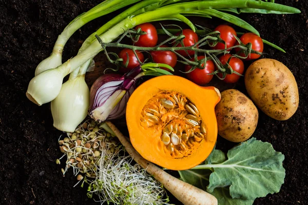 Produtos hortícolas biológicos frescos — Fotografia de Stock