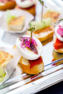 Lezzetli meze açık büfe 