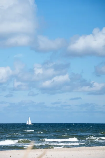 Stranden av Östersjön — Stockfoto