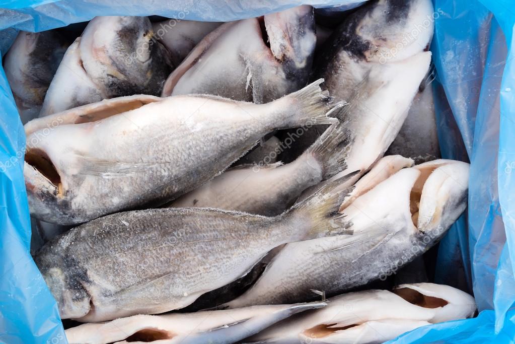 Packaged frozen fish — Stock Photo © Shebeko 118360928