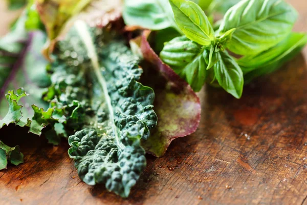 Fresh organic greens — Stock Photo, Image