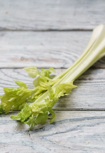 Fresh green celery — Stock Photo, Image