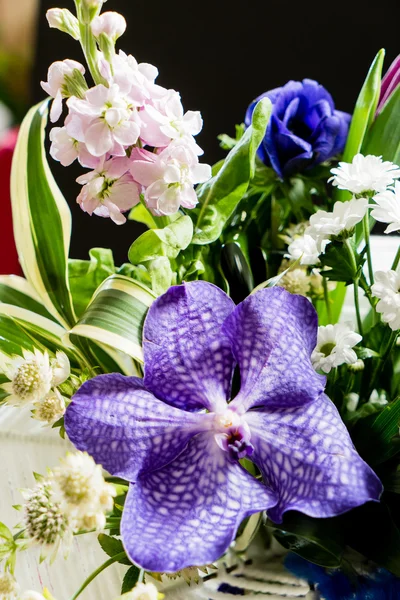 Gyönyörű virágok-csokor — Stock Fotó