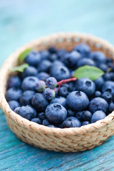 Fresh ripe blueberries — Stock Photo, Image