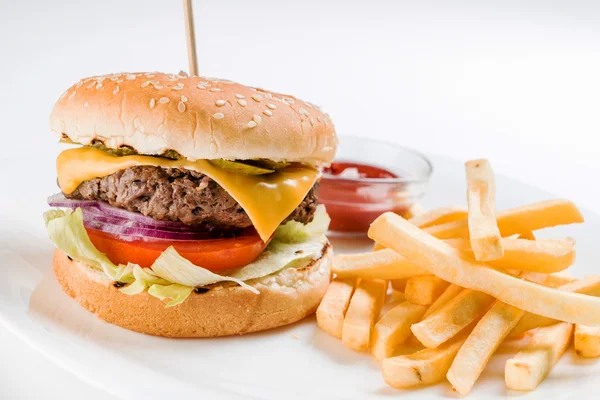 Gourmet burger with french fries — Stock Photo, Image