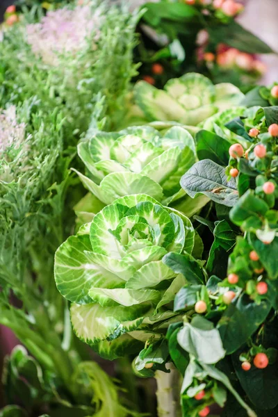 Decorative frozen cabbage — Stock Image Decorative frozen cabbage Royalty Free Stock Images