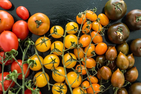 토마토 톱 보기 — 스톡 사진