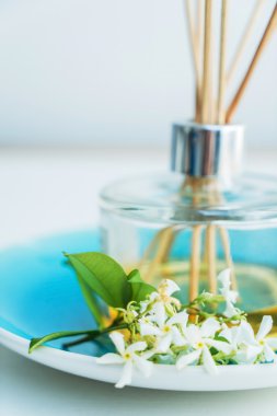 Spa ve güzellik kavramı