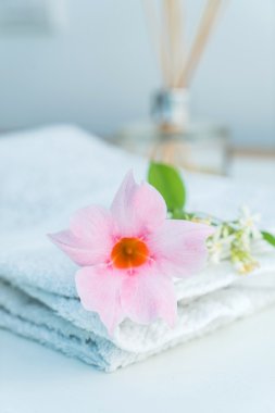 Spa ve güzellik kavramı