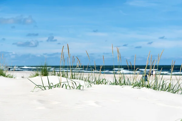 Beach of Baltic Sea — Stock Photo, Image