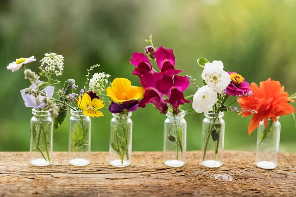 Beautiful flowers in bottles — Stock Photo, Image