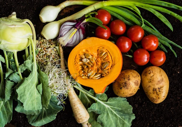 Légumes frais biologiques — Photo