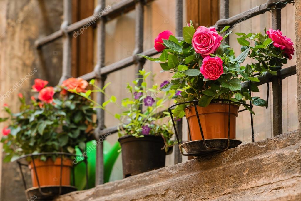 Blooming flowers on the balcony — Stock Photo © Shebeko 119630862