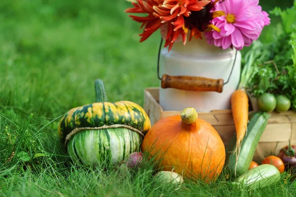 Beautiful autumn arrangement — Stock Photo, Image