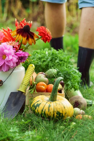 Beautiful autumn arrangement — Stock Photo, Image