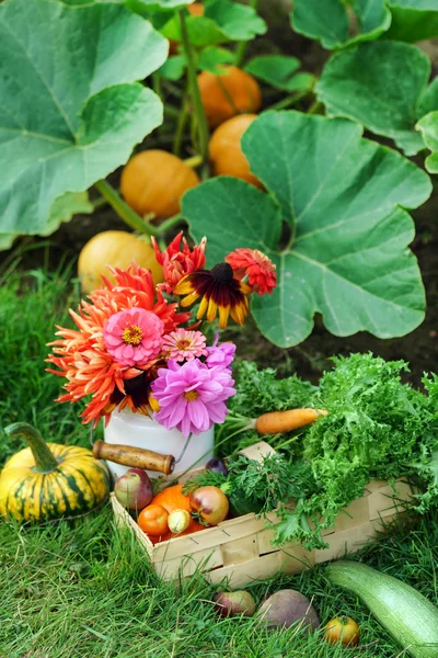 Mooie herfst arrangement — Stockfoto