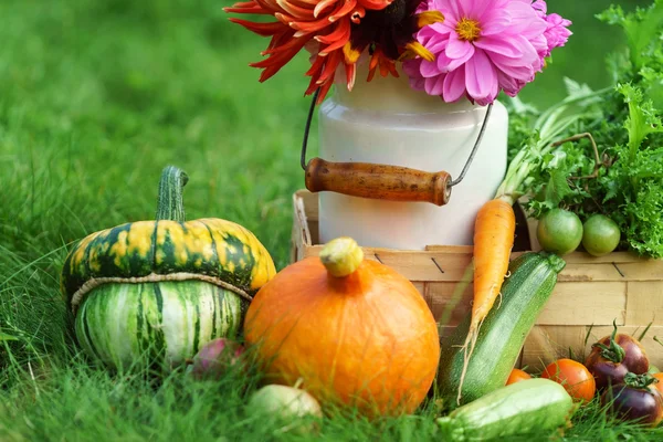 Hermoso arreglo de otoño — Foto de Stock