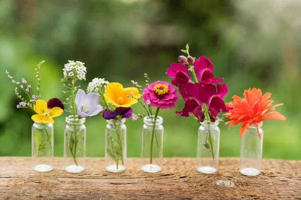 병에 아름 다운 꽃 — 스톡 사진