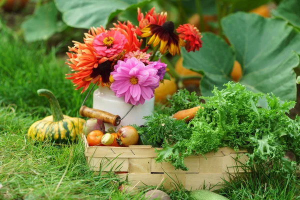Beautiful autumn arrangement — Stock Photo, Image