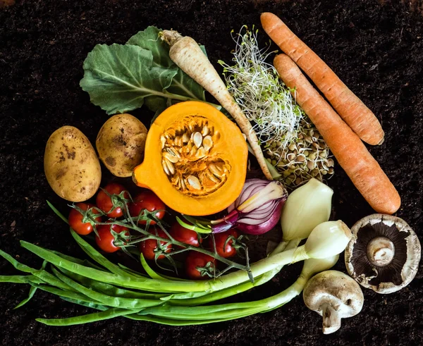 Verduras orgánicas frescas — Foto de Stock