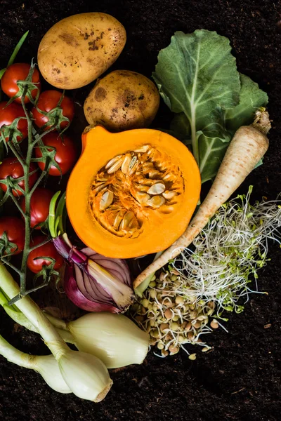 Produtos hortícolas biológicos frescos — Fotografia de Stock