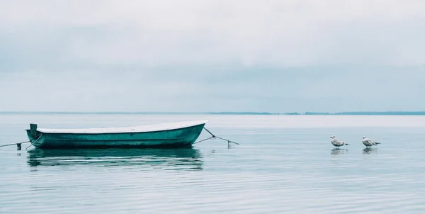 Boot en meeuwen op zee — Stockfoto