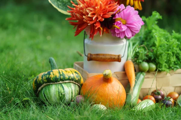 Mooie herfst arrangement — Stockfoto