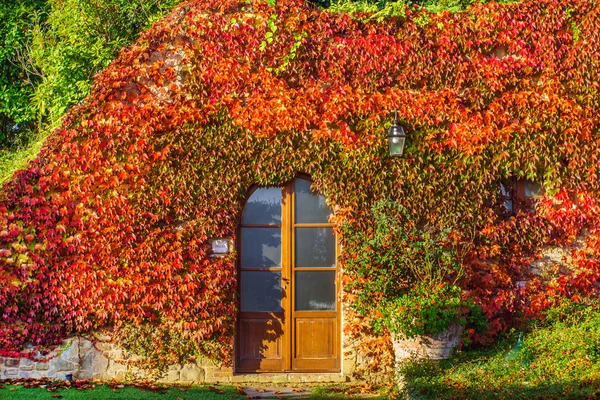 House in autumn leaves — Stock Photo, Image