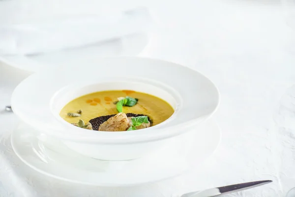 Tasty hot soup — Stock Image Tasty hot soup Stock Image