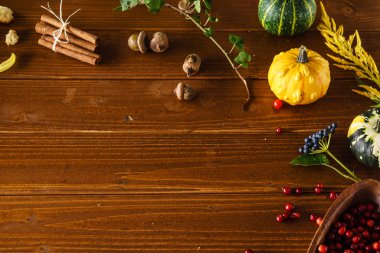 Dekoratif güzel sonbahar bitkiler 