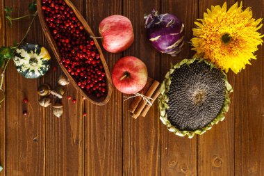 Dekoratif güzel sonbahar bitkiler 