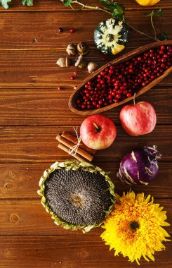 Dekoratif güzel sonbahar bitkiler 