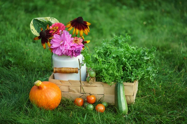 Beautiful autumn arrangement — Stock Photo, Image