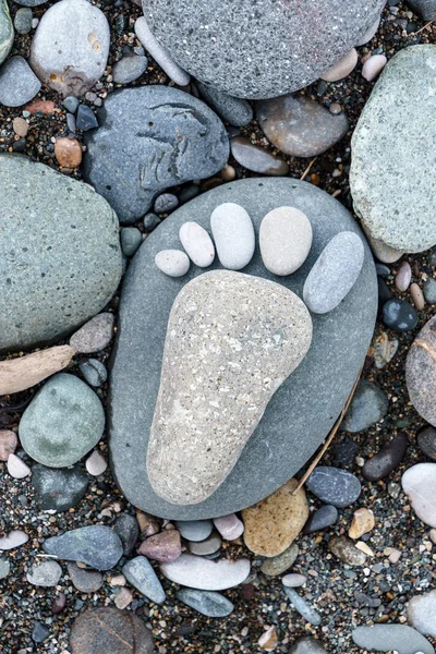 Been van kiezels op zee strand — Stockfoto