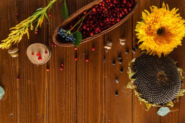 Dekoratif güzel sonbahar bitkiler 