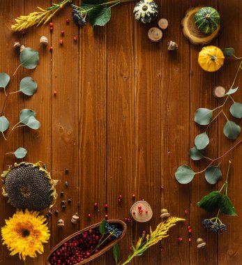 Dekoratif güzel sonbahar bitkiler 