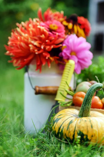 Beautiful autumn arrangement — Stock Photo, Image