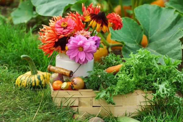 Beautiful autumn arrangement — Stock Photo, Image