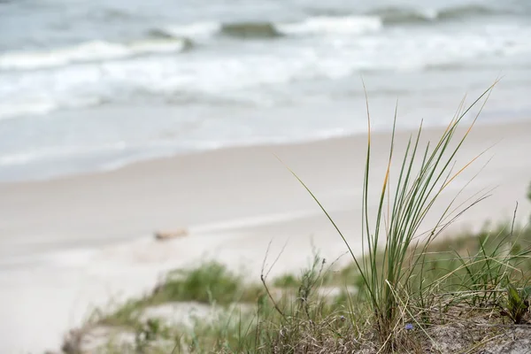 Bellissimo Mar Baltico — Foto Stock