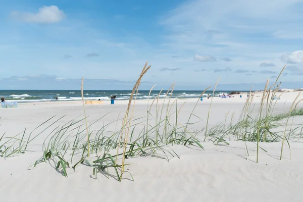 Baltic sea beach — Stock Photo, Image