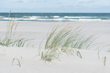 Güzel Baltık Denizi