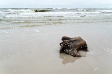 Güzel Baltık Denizi