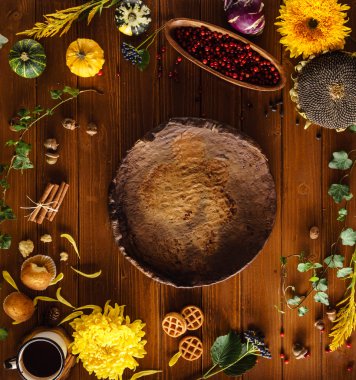 Dekoratif güzel sonbahar bitkiler 