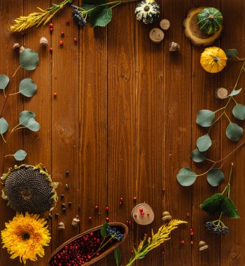 Dekoratif güzel sonbahar bitkiler 