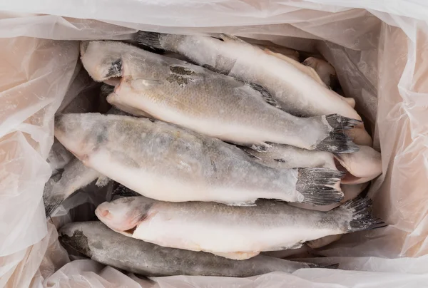 Peixe congelado embalado — Fotografia de Stock